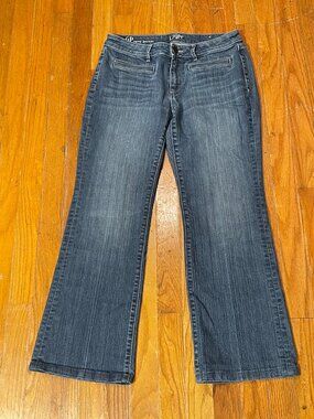 Ann Taylor Loft Curvy Bootcut Jeans Womens Size 6P
